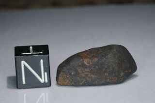 Aguas Zarcas Costa Rica CM2 classified carbonaceous chondrite meteorite 2.  84g 2