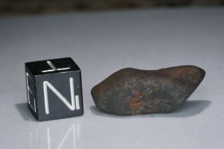 Aguas Zarcas Costa Rica CM2 classified carbonaceous chondrite meteorite 2.  84g 4