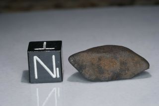 Aguas Zarcas Costa Rica CM2 classified carbonaceous chondrite meteorite 2.  84g 5