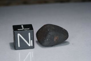 Aguas Zarcas Costa Rica CM2 classified carbonaceous chondrite meteorite 2.  28g 2