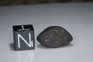 Aguas Zarcas Costa Rica CM2 classified carbonaceous chondrite meteorite 2.  28g 3