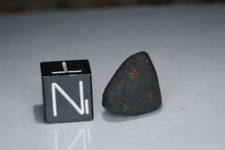 Aguas Zarcas Costa Rica CM2 classified carbonaceous chondrite meteorite 2.  28g 4