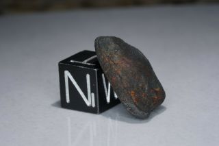 Aguas Zarcas Costa Rica Cm2 Classified Carbonaceous Chondrite Meteorite 1.  77g