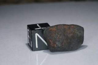 Aguas Zarcas Costa Rica CM2 classified carbonaceous chondrite meteorite 1.  77g 3
