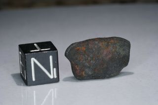 Aguas Zarcas Costa Rica CM2 classified carbonaceous chondrite meteorite 1.  77g 5
