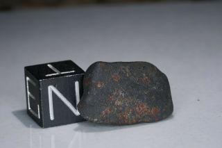 Aguas Zarcas Costa Rica CM2 classified carbonaceous chondrite meteorite 1.  77g 6