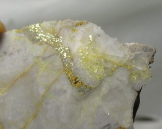 Gold In Quartz Slab - 26 Gram - Mazuma Hills Mine,  Pershing Co,  Nevada