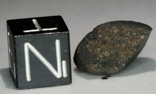 Aguas Zarcas Costa Rica CM2 classified carbonaceous chondrite meteorite 1.  48g 5