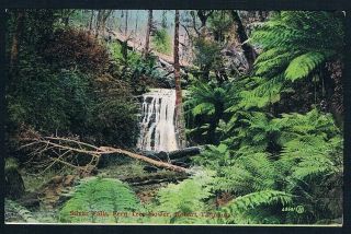 Tasmania • Valentine Postcard • Silver Falls,  Fern Tree Bower,  Hobart