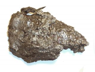 Meteorite,  Ataxite Dronino,  Russia,  complete sandblasted piece,  1220 grams 2