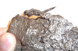 Meteorite,  Ataxite Dronino,  Russia,  complete sandblasted piece,  1220 grams 3