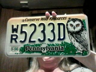 1996 Pennsylvania Conserve Wild Resources License Plate