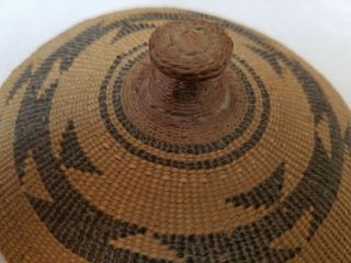 California Native American covered basket bowl Hupa Yurok Kurok ex.  Skinner 8