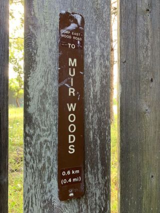 Mt Tamalpais Tam Trail Hiking Sign: To Muir Woods Mill Valley,  Marin County Cal