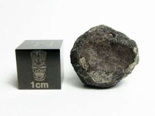 Allende CV3 Meteorite 3.  58g Captivating Crust on this Carbonaceous Chondrite 2