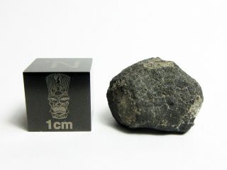 Allende CV3 Meteorite 3.  58g Captivating Crust on this Carbonaceous Chondrite 3