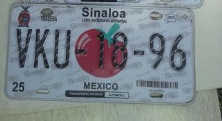 Sinaloa Mexico License Plate Tag Placa Tomato Tomate Mazatlan