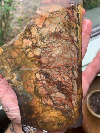 Morrisonite Large end cut rare lapidary rough collector grade slab 2