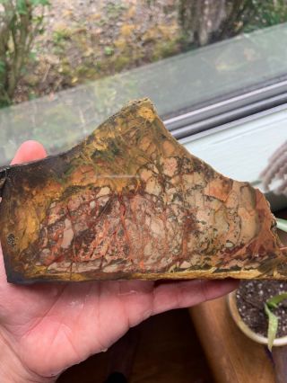 Morrisonite Large end cut rare lapidary rough collector grade slab 3