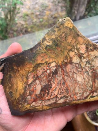 Morrisonite Large end cut rare lapidary rough collector grade slab 5