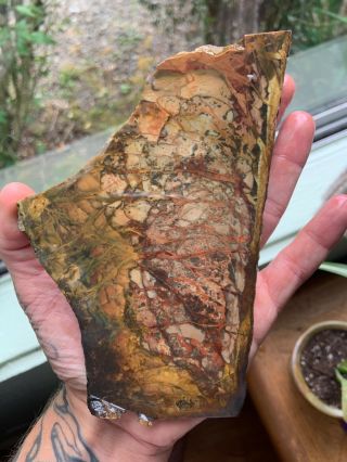 Morrisonite Large end cut rare lapidary rough collector grade slab 6