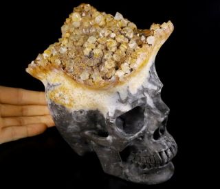 Huge 6.  6 " Citrine Druce Carved Crystal Skull,  Realistic,  Healing