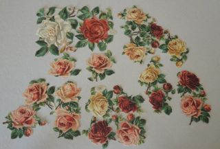 4 Antique Die Cut Embossed Scraps Roses Raphael Tuck 9