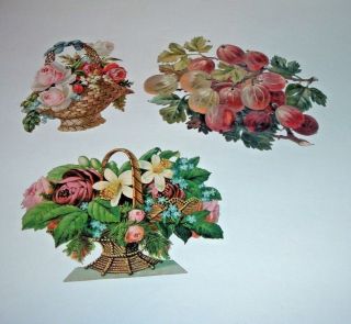 4 Victorian Die Cut Scraps Flower Baskets Fruits Roses 5 X 6 Forget Me Nots