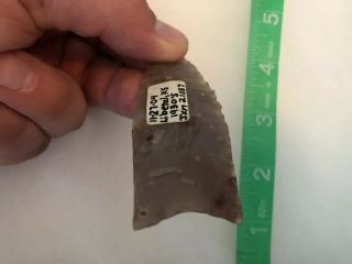 3” Paleo Fluted Translucent Clovis Found in Kansas Indian Arrowhead Artifact 3
