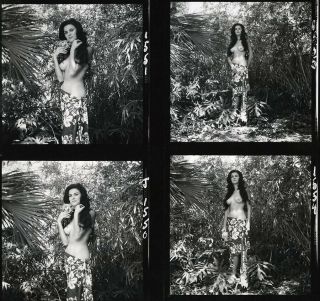 Bunny Yeager 1950s Contact Sheet Photograph 12 Images Gorgeous Babe Collins Nude 4