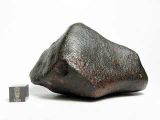 NWA x Meteorite 309.  33g Big Bambucha 3