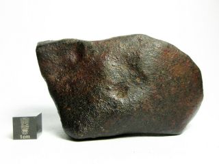 NWA x Meteorite 309.  33g Big Bambucha 4