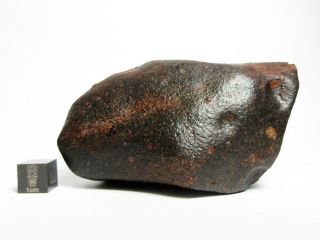 NWA x Meteorite 309.  33g Big Bambucha 5