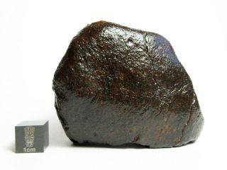 Nwa X Meteorite 208.  82g Colossal Chondrite With Character