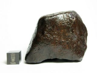 NWA x Meteorite 208.  82g Colossal Chondrite with Character 2