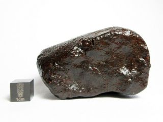 NWA x Meteorite 208.  82g Colossal Chondrite with Character 3