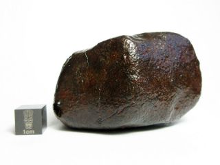NWA x Meteorite 208.  82g Colossal Chondrite with Character 4