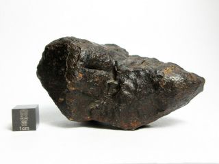 NWA x Meteorite 197.  46g Vexingly Vibrant Space Rock 2