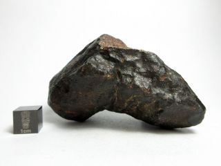 NWA x Meteorite 197.  46g Vexingly Vibrant Space Rock 3