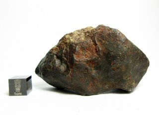 NWA x Meteorite 197.  46g Vexingly Vibrant Space Rock 4