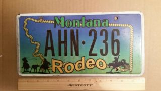 License Plate,  Montana,  Rodeo,  Horses,  Cowboys,  Cattle,  Ahn 236,  Lasso