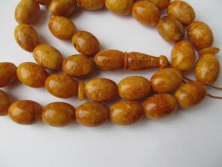 Islamic Prayer 33 Beads Natural Baltic Amber 55gr