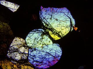 Meteorite Sericho - Pallasite Thin Section - Microscope Slide