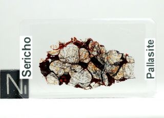 Meteorite SERICHO - Pallasite Thin Section - Microscope slide 2