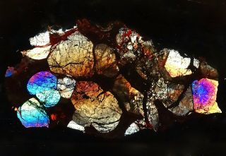 Meteorite SERICHO - Pallasite Thin Section - Microscope slide 4