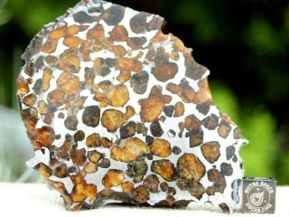 Sericho Pallasite Meteorite from Kenya Africa Habaswein 48.  1 gram part slice 2
