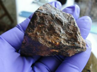 Trenton,  Wisconsin IIIAB medium octahedrite 207 gram end cut meteorite 2