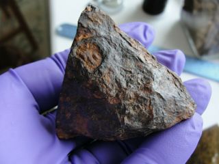 Trenton,  Wisconsin IIIAB medium octahedrite 207 gram end cut meteorite 3