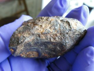 Trenton,  Wisconsin IIIAB medium octahedrite 207 gram end cut meteorite 4