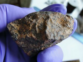 Trenton,  Wisconsin IIIAB medium octahedrite 207 gram end cut meteorite 5